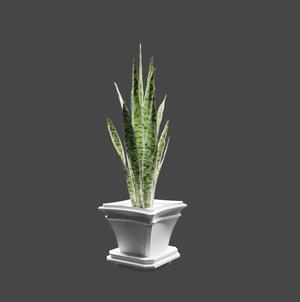 Single and Ornamental Pot with Base