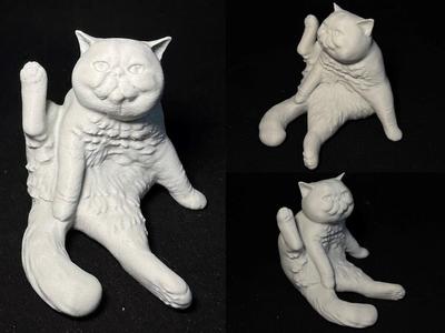 Lazy Sitting Fat Cat_Disturbed While Licking Fur?