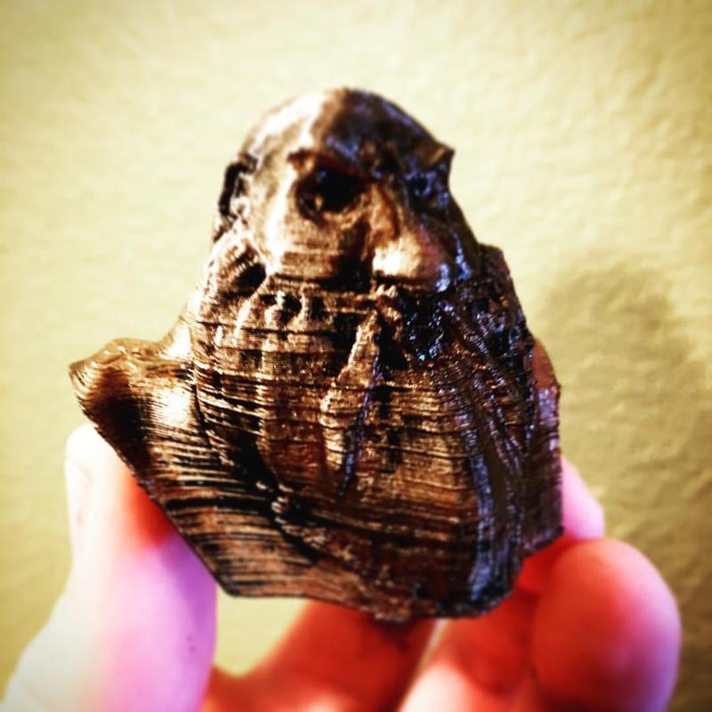 Dwarf Bust