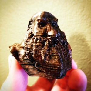 Dwarf Bust