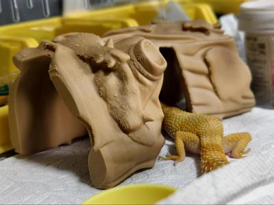 Reptile Hide
