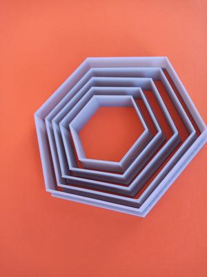 Hexagon cutter x 5