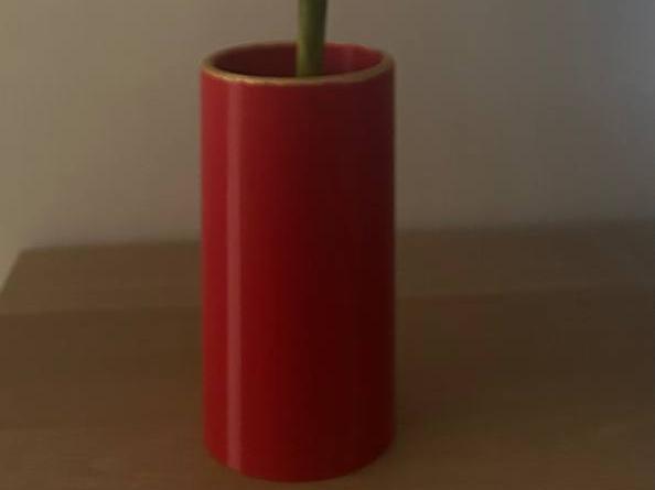 IKEA Bamboo lucky, Dracaena plant pot.
