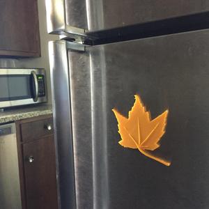 Leaf Magnet