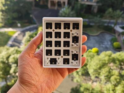 Caizi Cat DS17 Digital Keypad Case