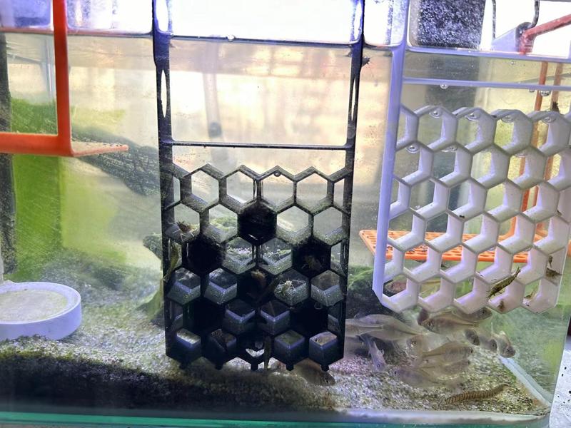 Shrimp breeding shelter cellular