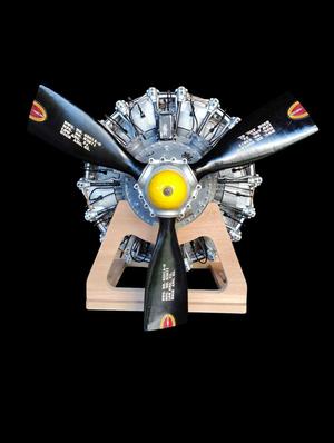 18-cylinder Pratt & Whitney R-2800 Double Wasp radial engine