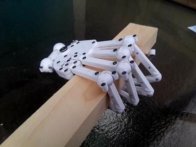 Soft Robot Wrist