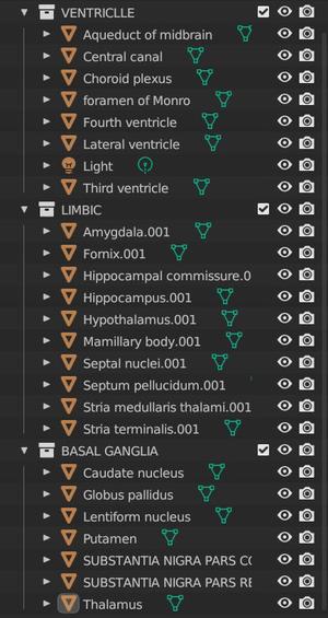 High resolution 24-part 3D Limbic, Basal Ganglia and Ventricular Systems