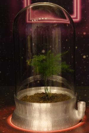 Biotope with built-in water tank