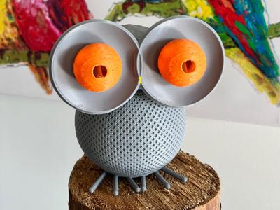Owl