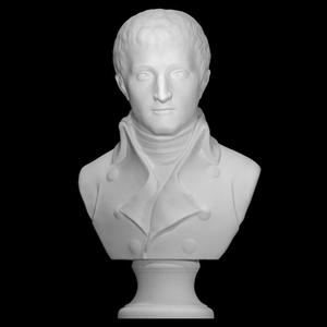 Napoleon at The Réunion des Musées Nationaux, Paris