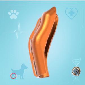 Canine hind leg support (hock brace)