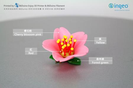 Cherry blossoms / 櫻花 / 桜 / Flowers / Sakura