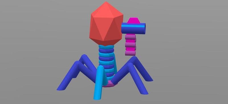 Bacteriophage T4 With Weapon