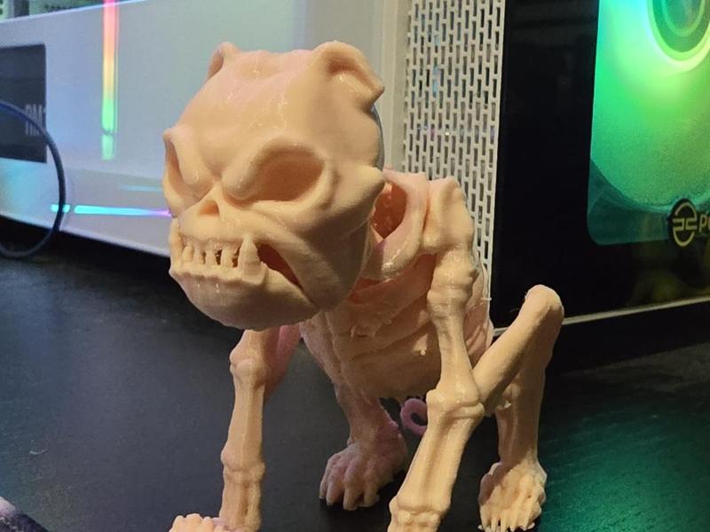 Bulldog skellington Halloween model