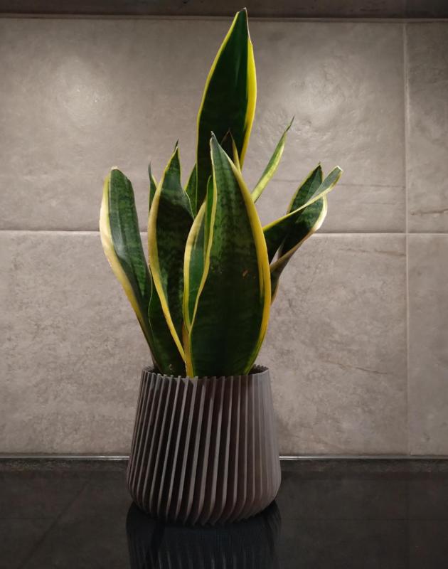 Orchid Pot Cover, Plant Container