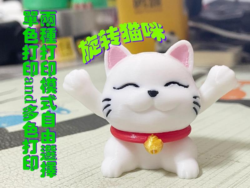 Spinning Cat