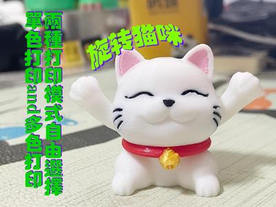 Spinning Cat