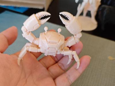 Mechanical Crab