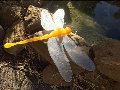 Articulated Dragonfly