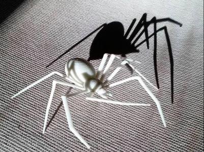 Halloween Spider