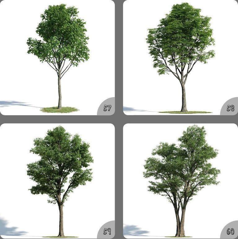 Long Tree Pot Plant Home Decoration 3D Model 57-60