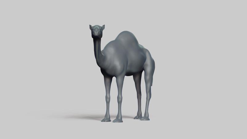 camel pose 01