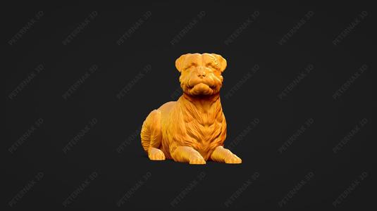 Border Terrier Dog 3D Print Model Pose 09