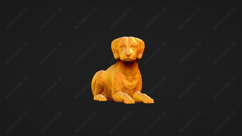 Brittany Dog 3D Print Model Pose 09