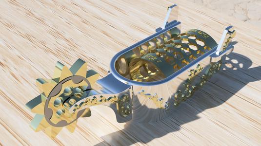 SpurSpinner: The Western Fidget Maverick