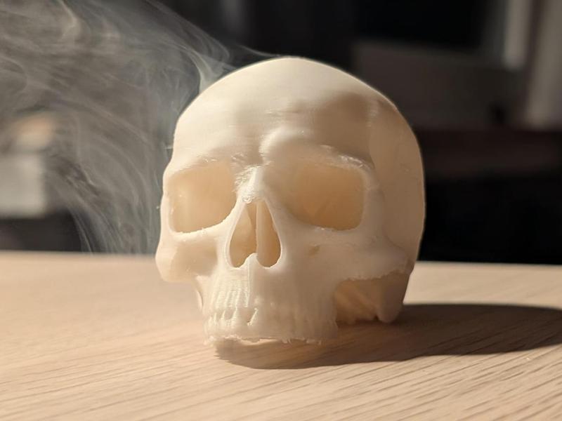 Realistic Halloween Decorative Skull