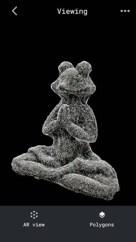 Meditation Frog