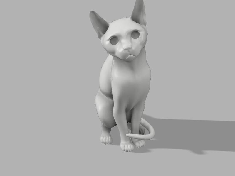 A crouching cat