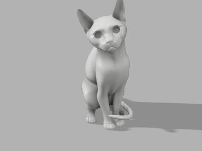 A crouching cat