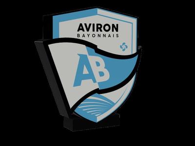 Bayonne Stadium Lightbox 