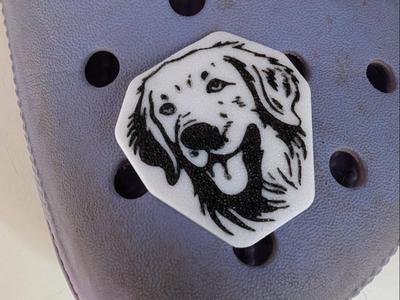 Golden Retriever Jibbet