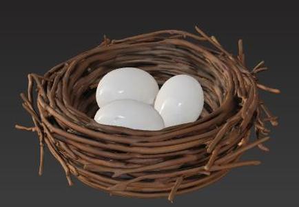 Bird's Nest
