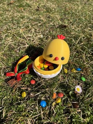 Cute Easter Chick