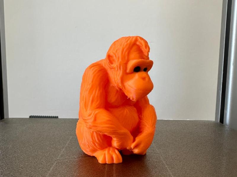 Orangutang