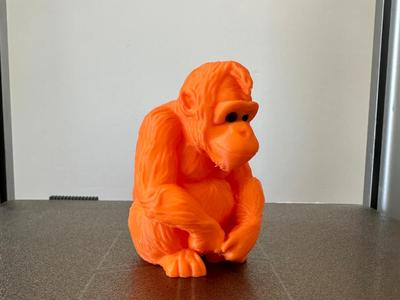 Orangutang