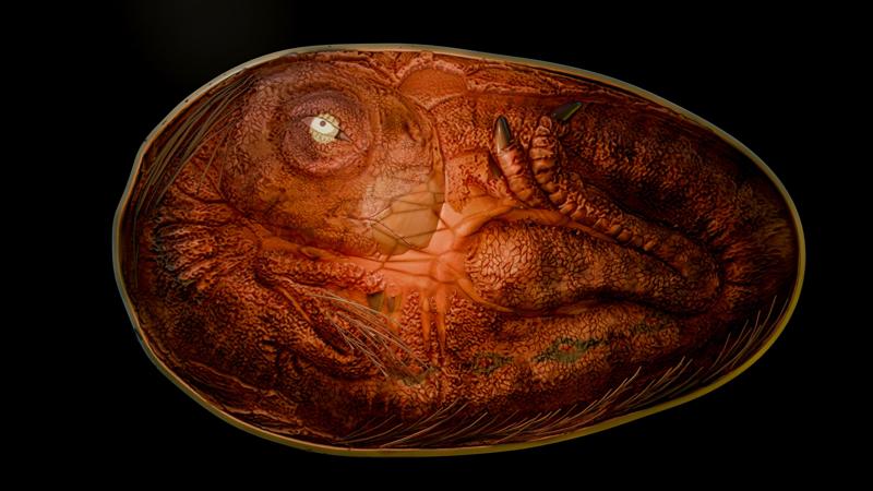 Oviraptor Egg - High Detail Exclusive Figure