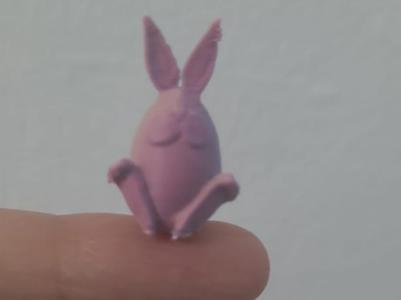 little rabbit
