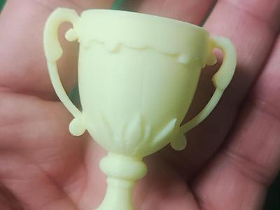 AWARDS TROPHY CUP
