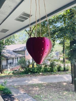 Strawberry Hanging Planter