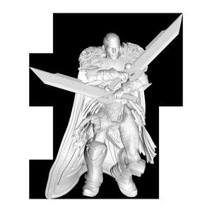 Human Paladin - Dual Blade