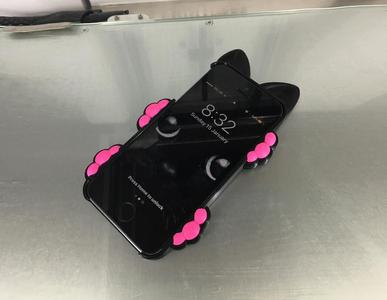 iPhone 5 Cat Case