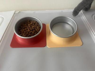 Anti-tip Cat Bowl