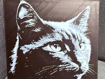 Shadow Prowler-Cat
