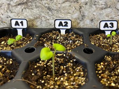 Garden Plant Tag System Modifiable